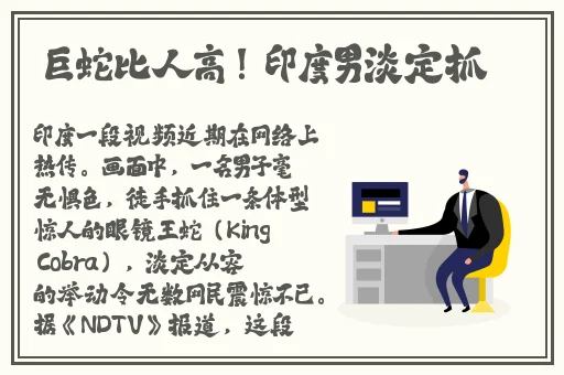 NXGX黑寡妇NXGX